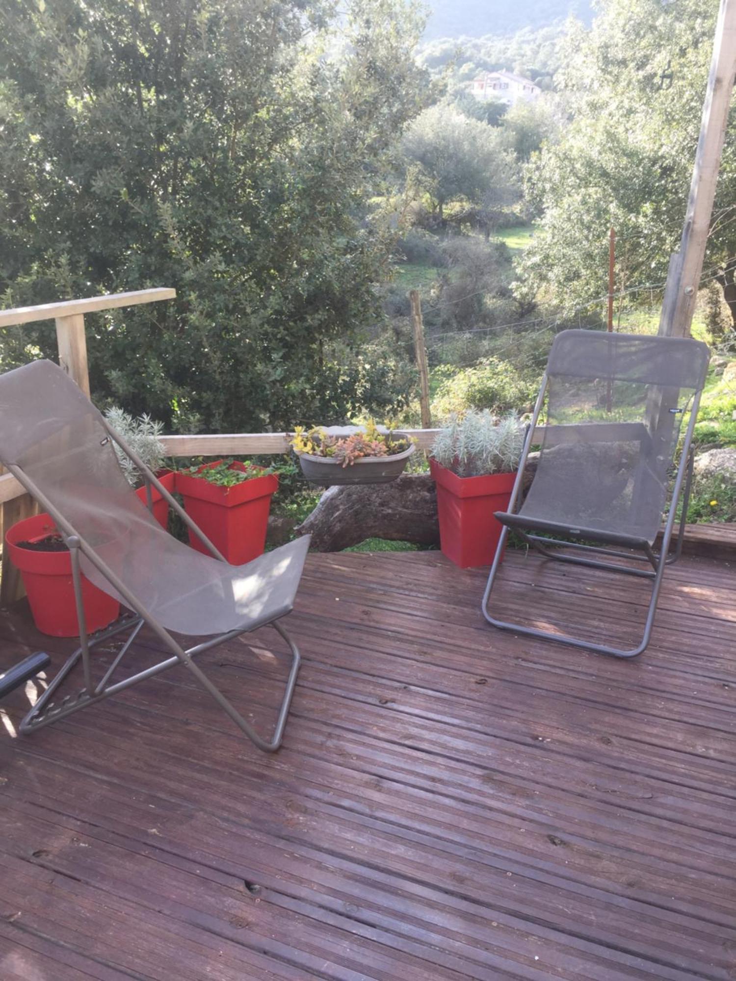 Bas De Avec Grande Terrasse