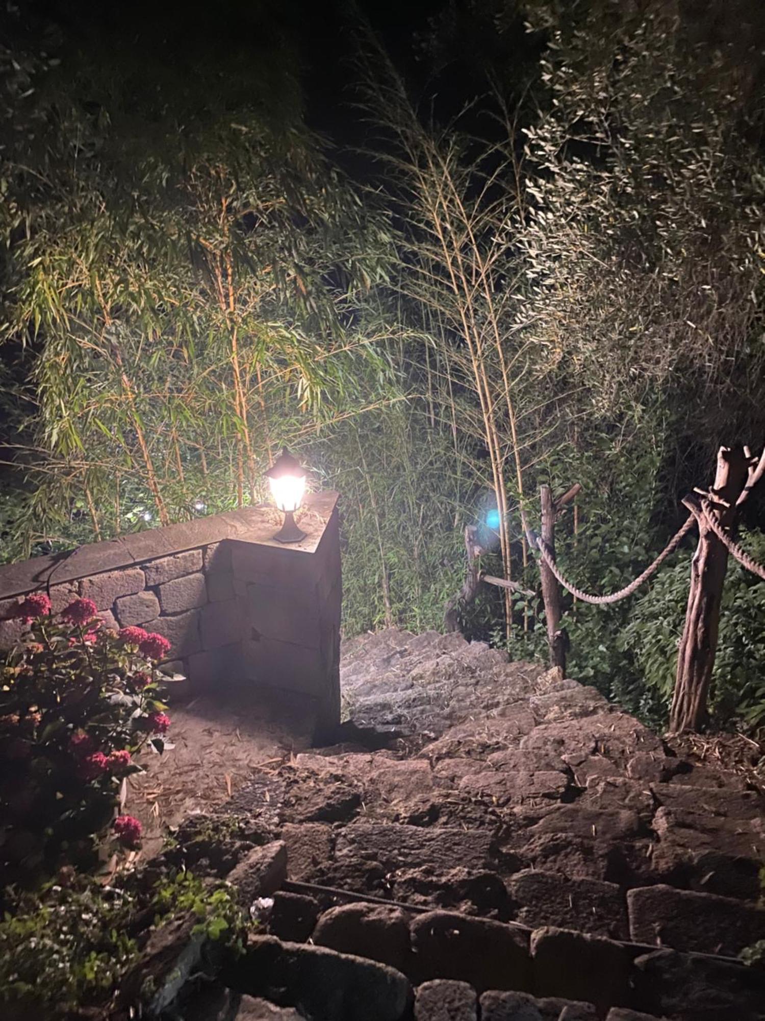Bas De Avec Grande Terrasse * Piedigriggio